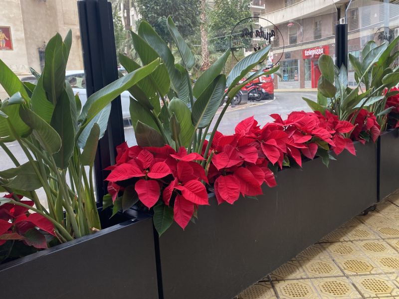 Mobiliario hosteler&iacute;a Extremadura