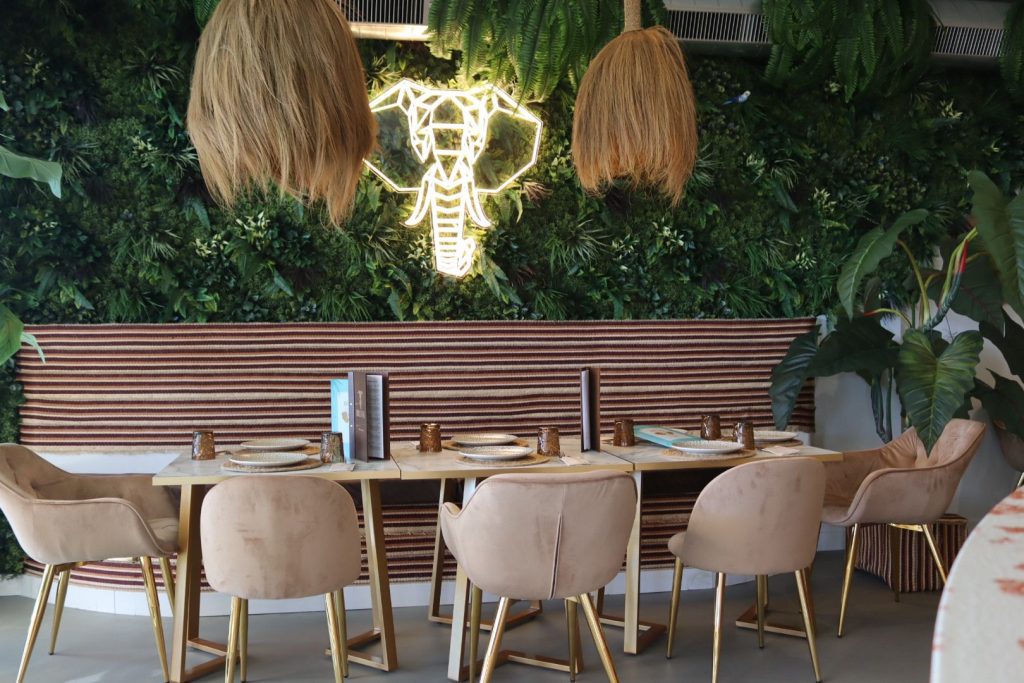 Mantenimiento de plantas colgantes, Torresman Mantenimiento de plantas colgantes