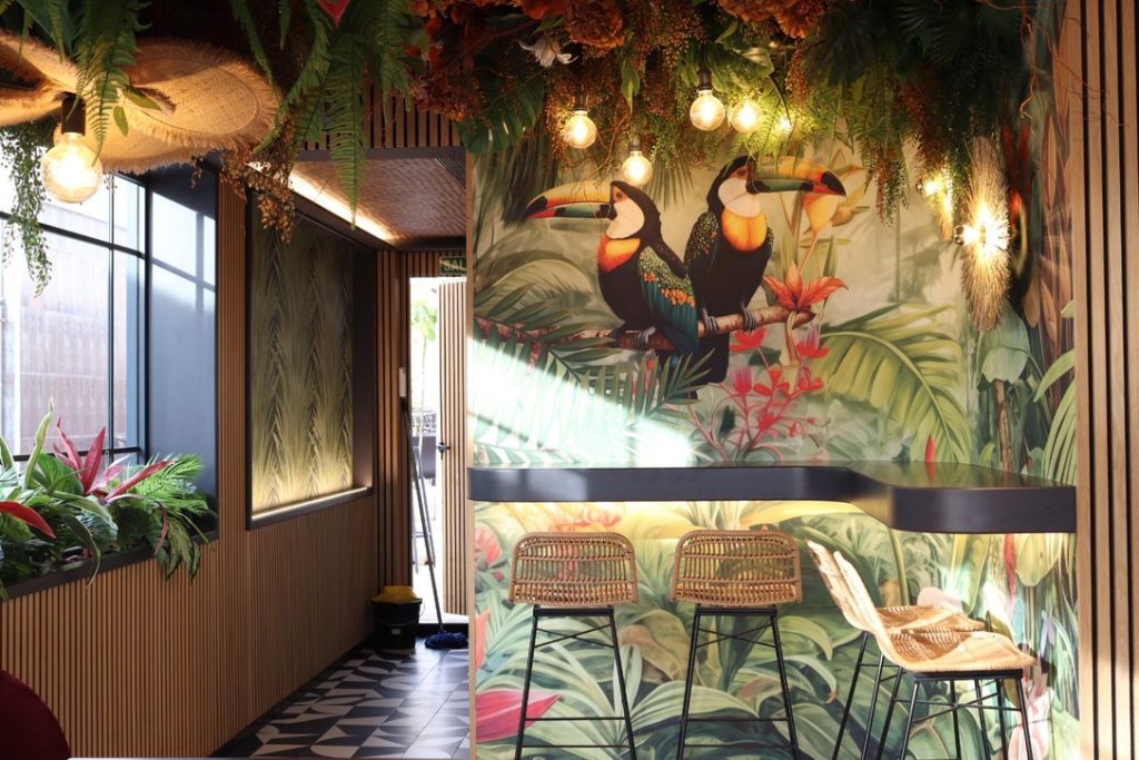 Plantas colgantes de interior mantenimiento y cuidados